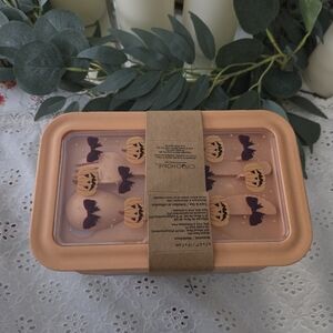 Eco Bento Lunch Boxes With Cutlery